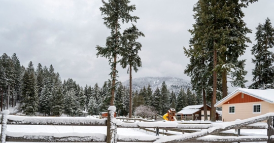 snow-covered Idaho home