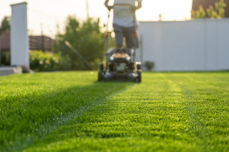 green lawn