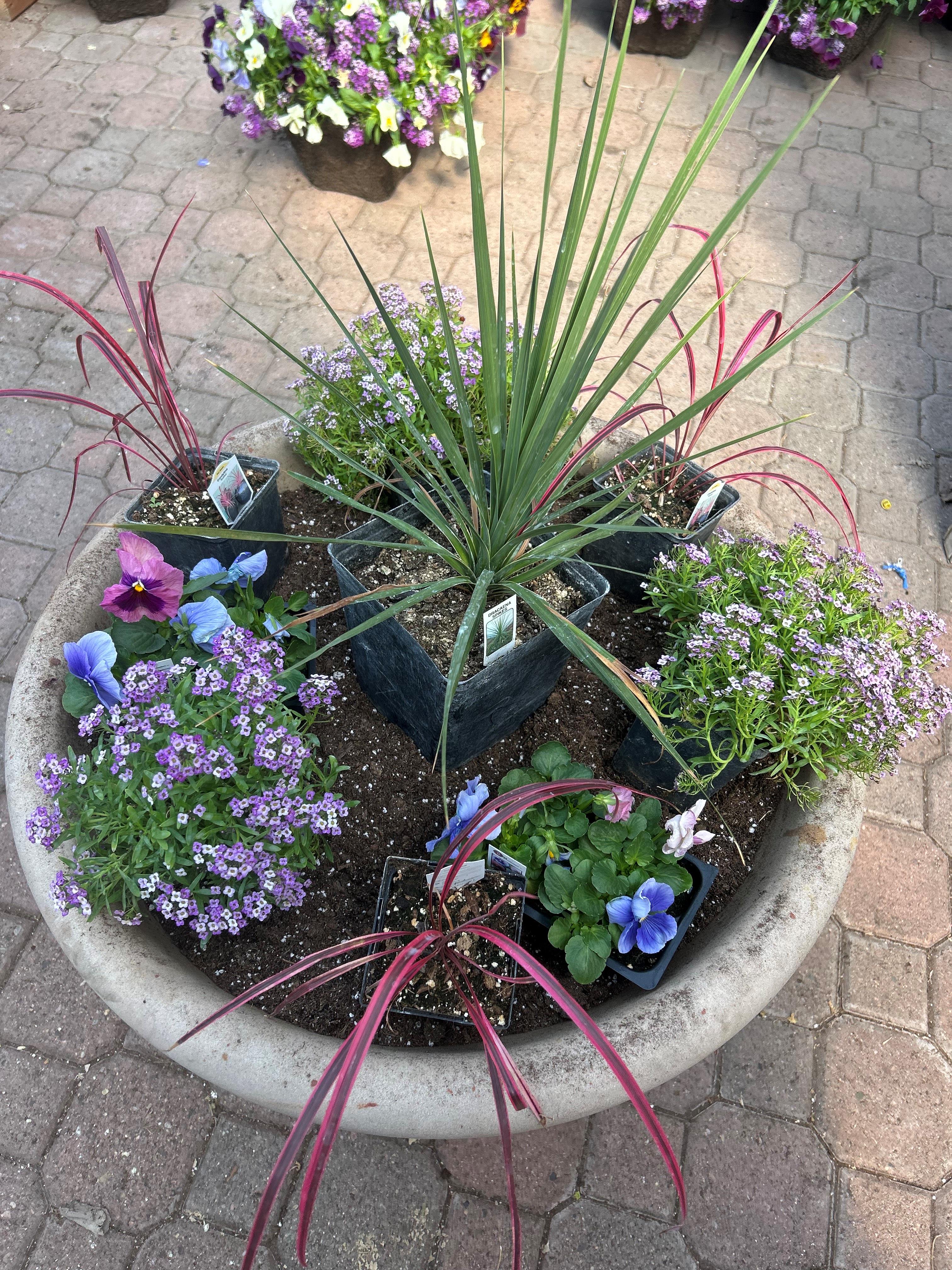 Flower Bowls/Planters Photo