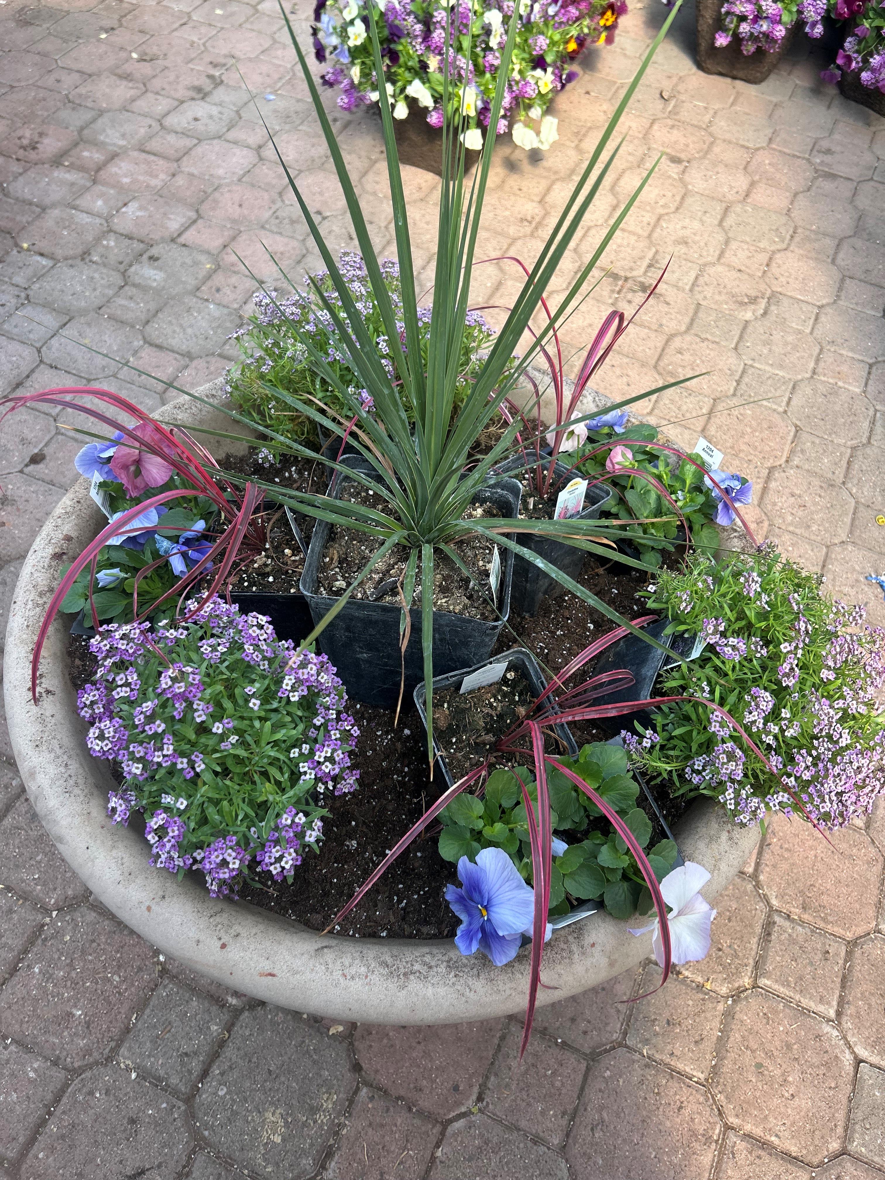 Flower Bowls/Planters Photo