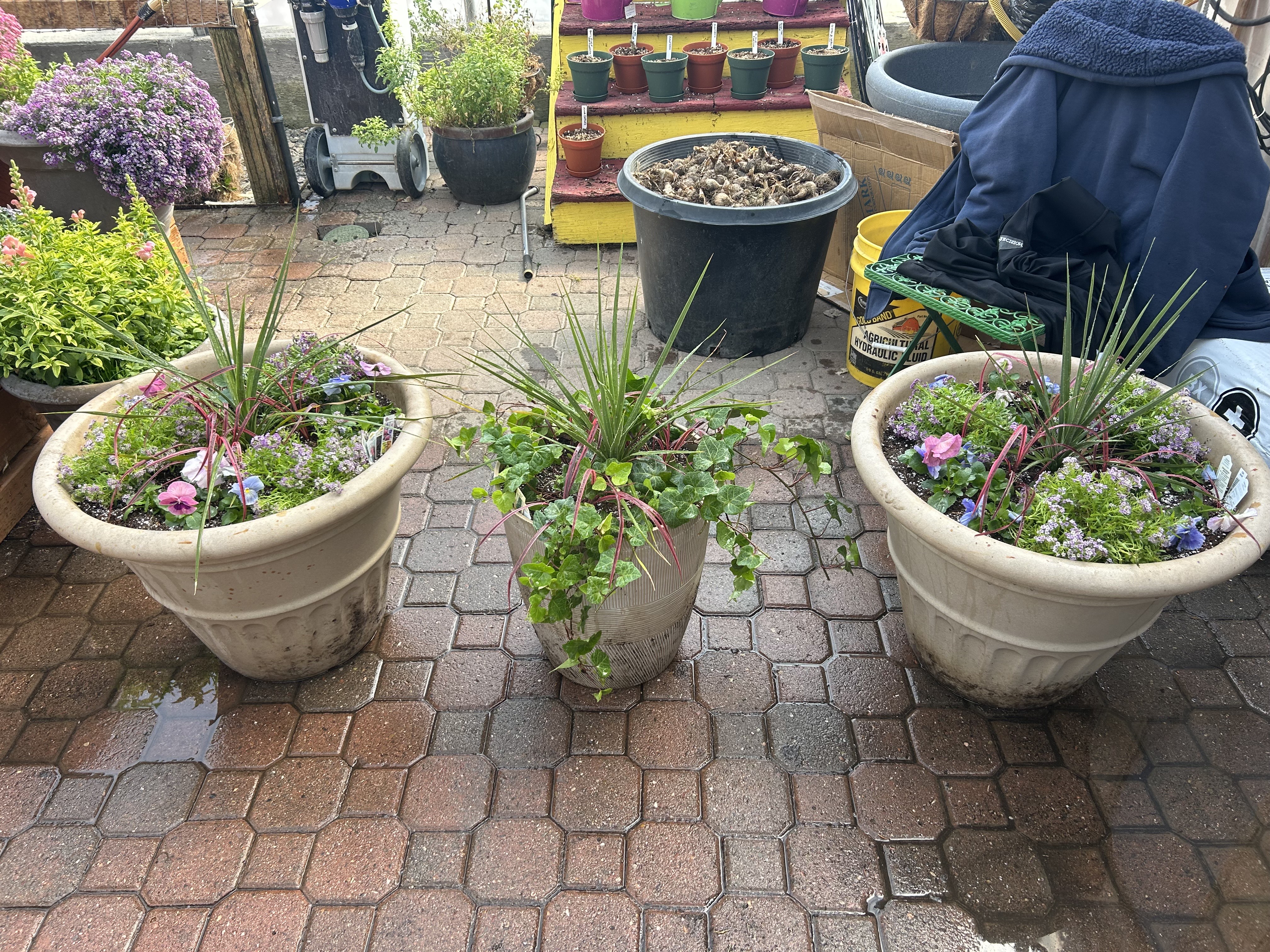 Flower Bowls/Planters Photo