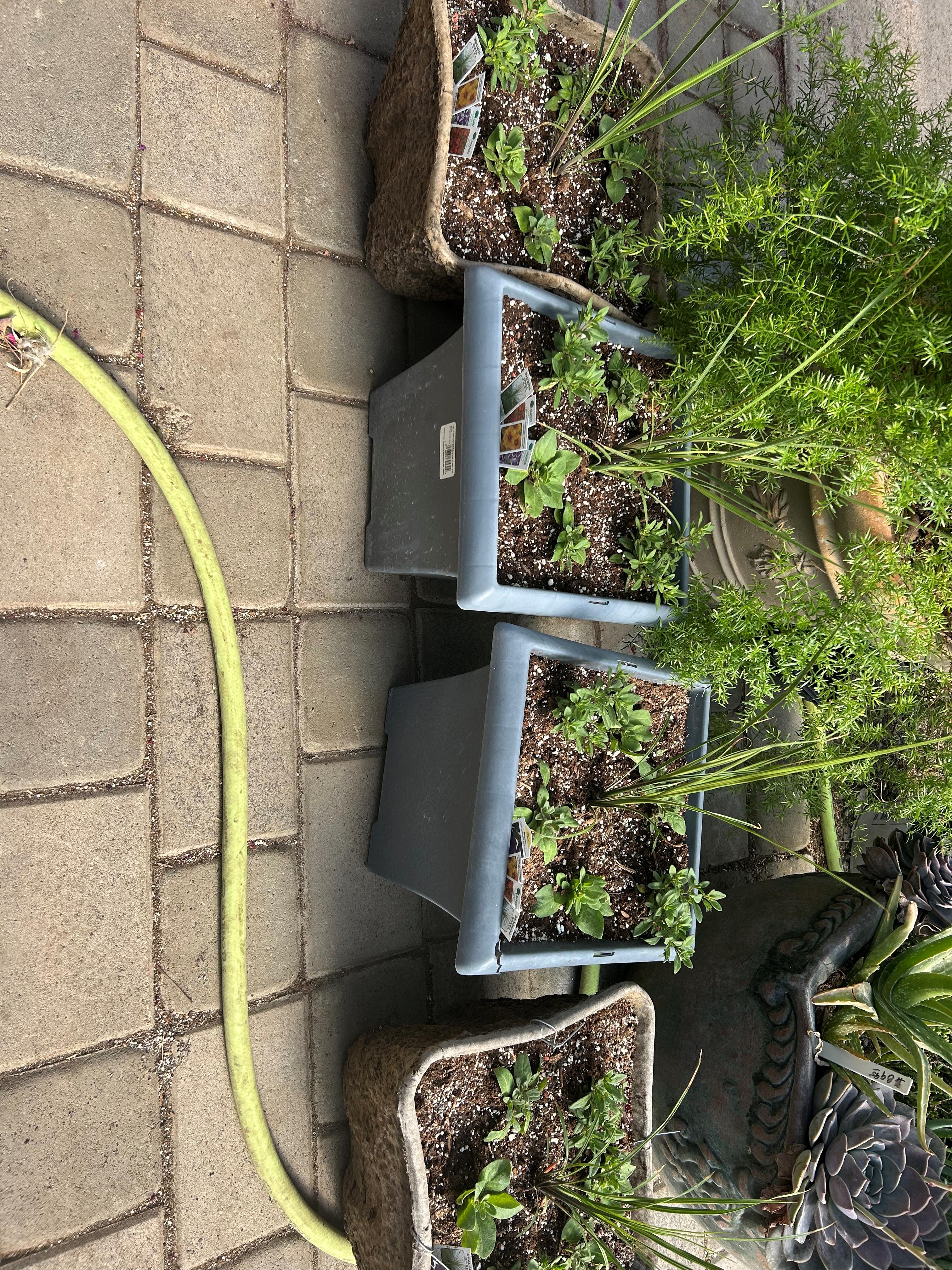 Flower Bowls/Planters Photo