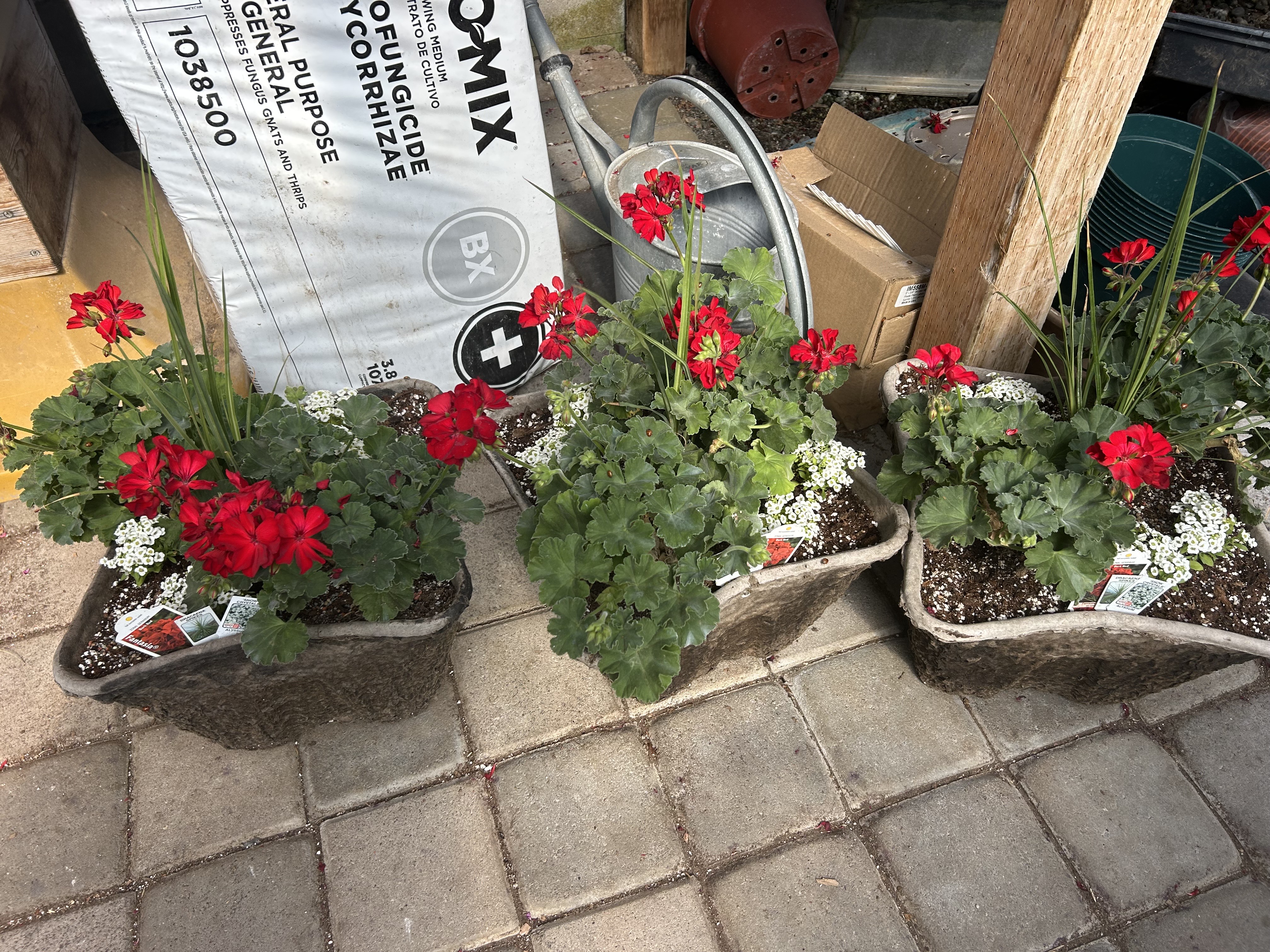 Flower Bowls/Planters Photo