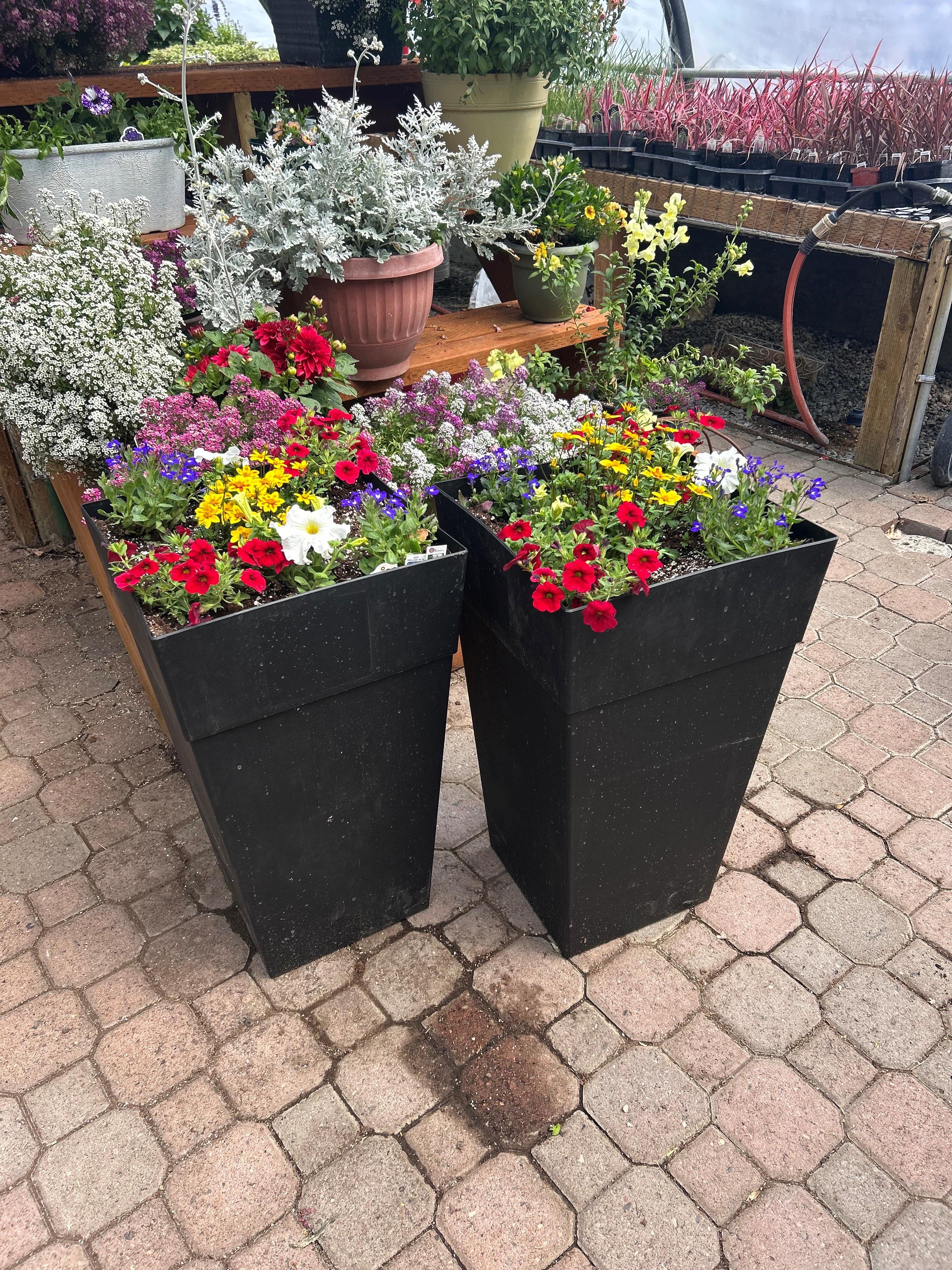 Flower Bowls/Planters Photo