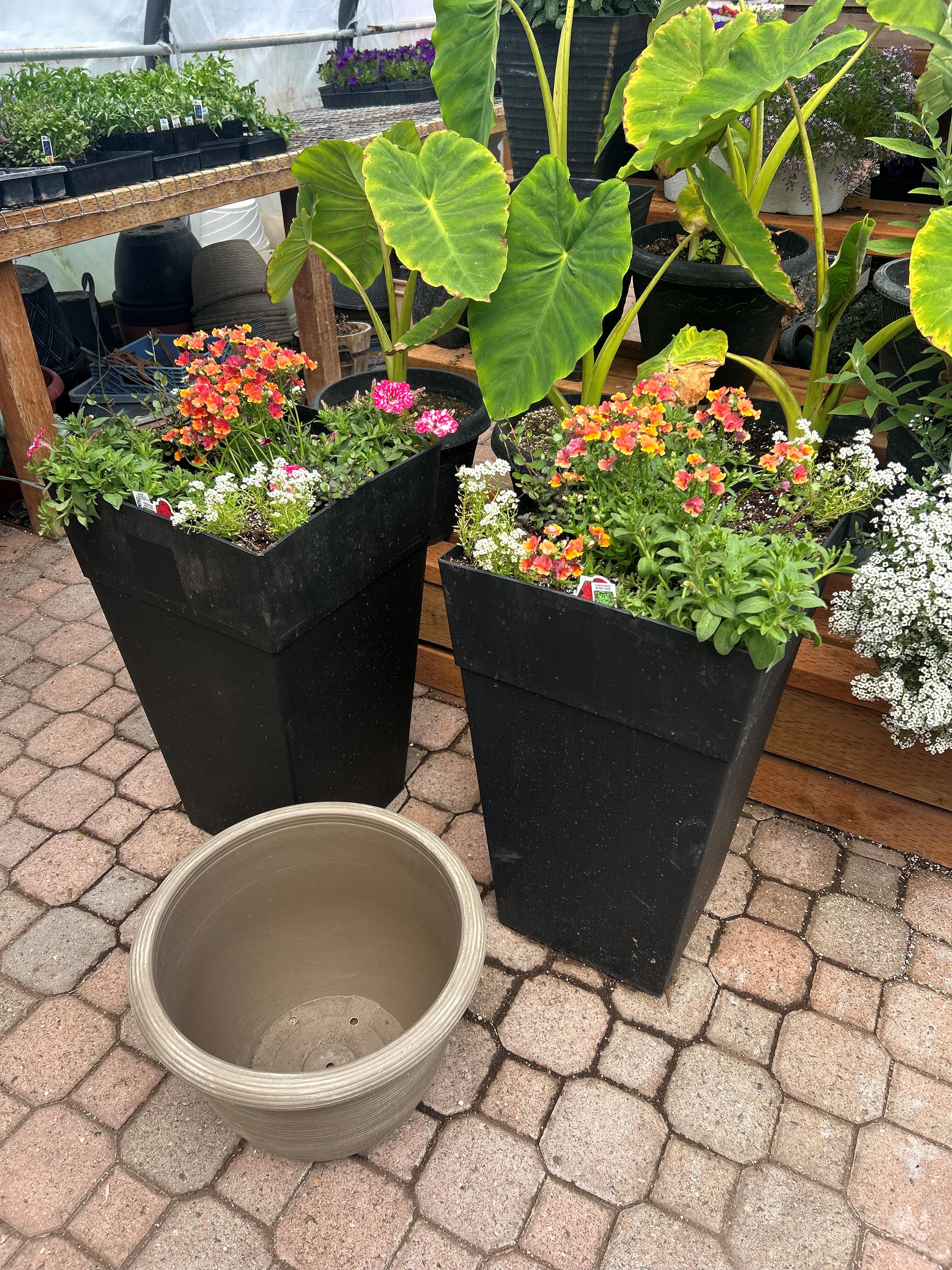 Flower Bowls/Planters Photo