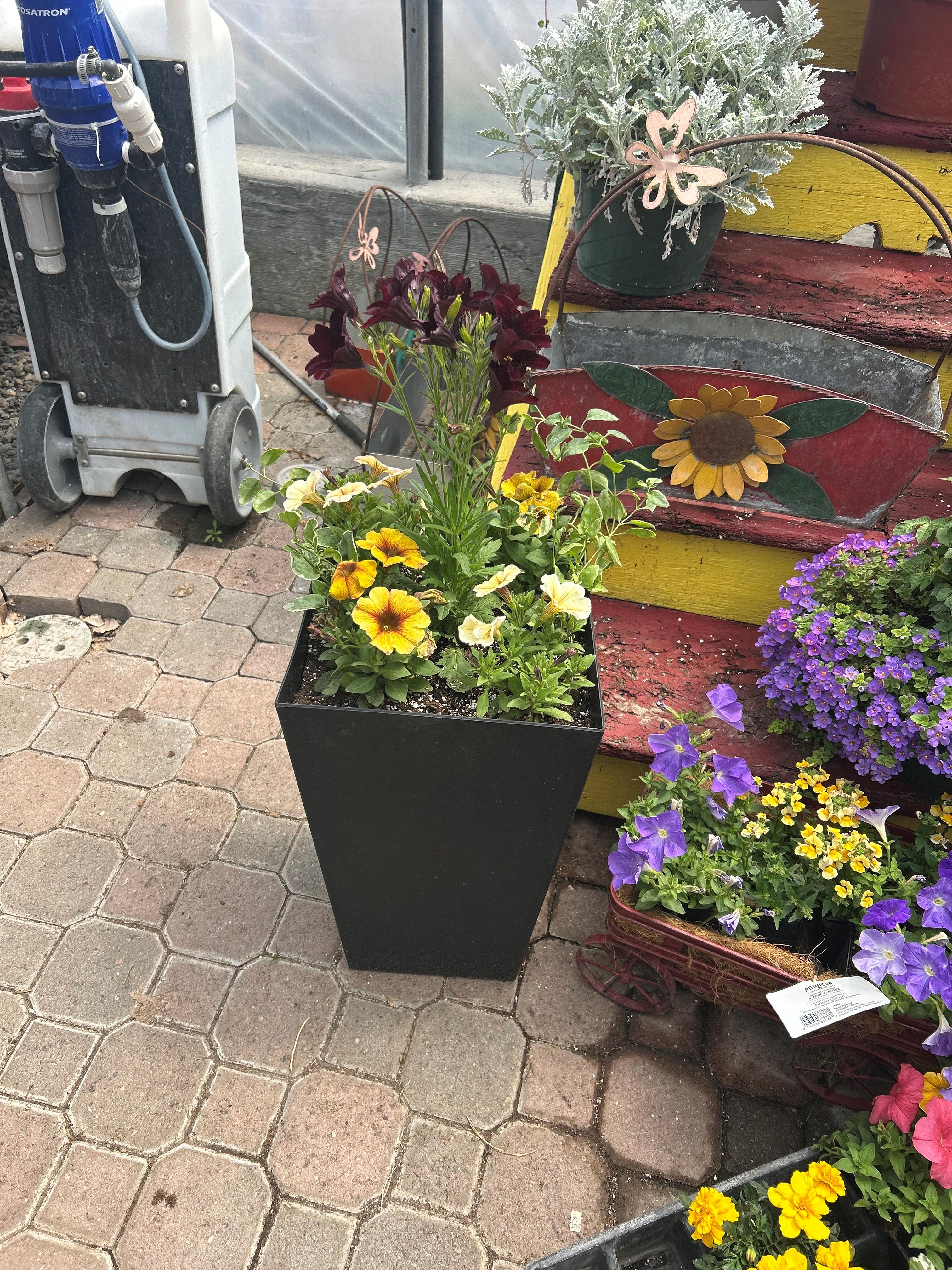 Flower Bowls/Planters Photo