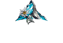 Swiss Precision Enterprises