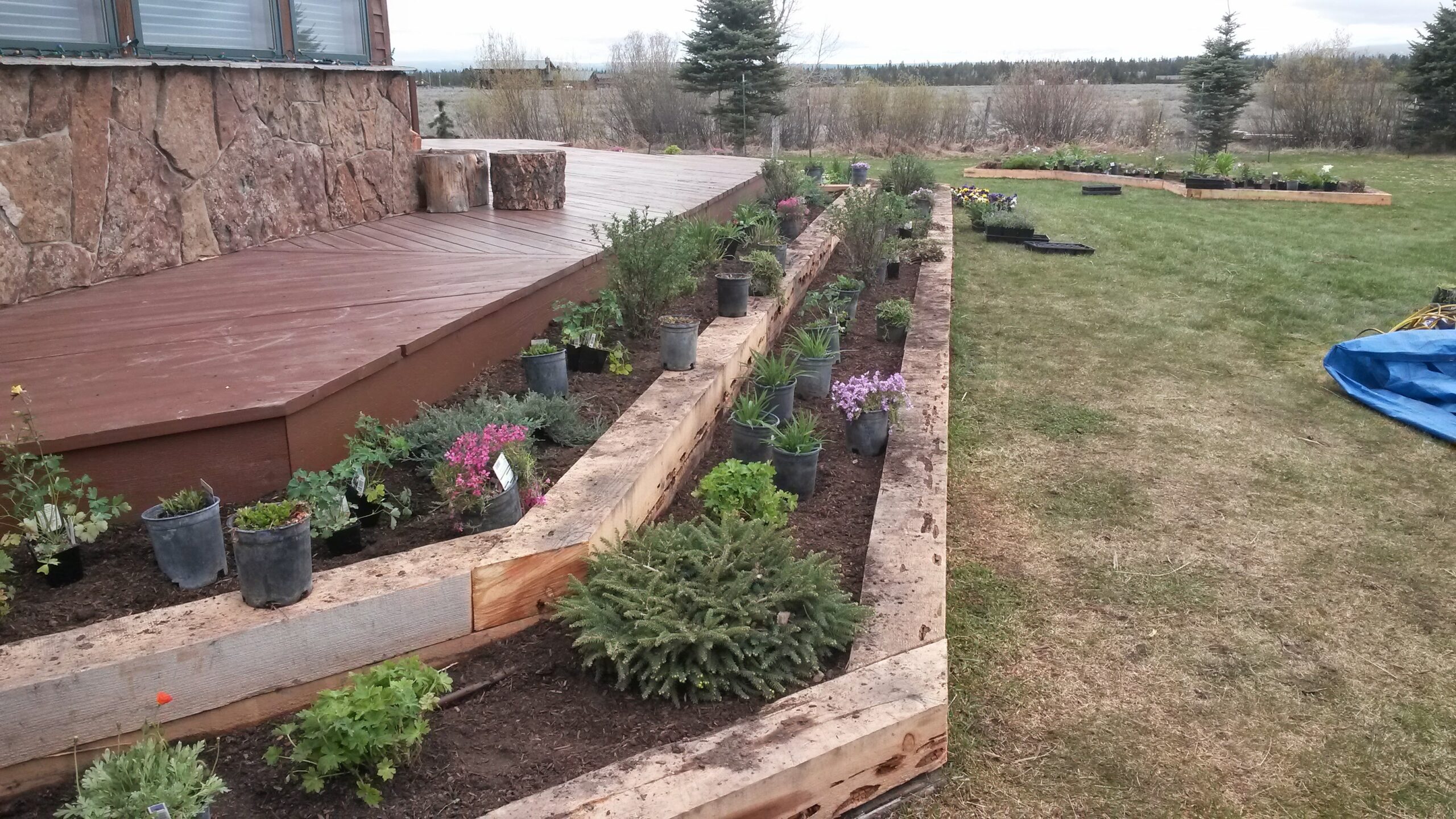 Garden Bed Photo