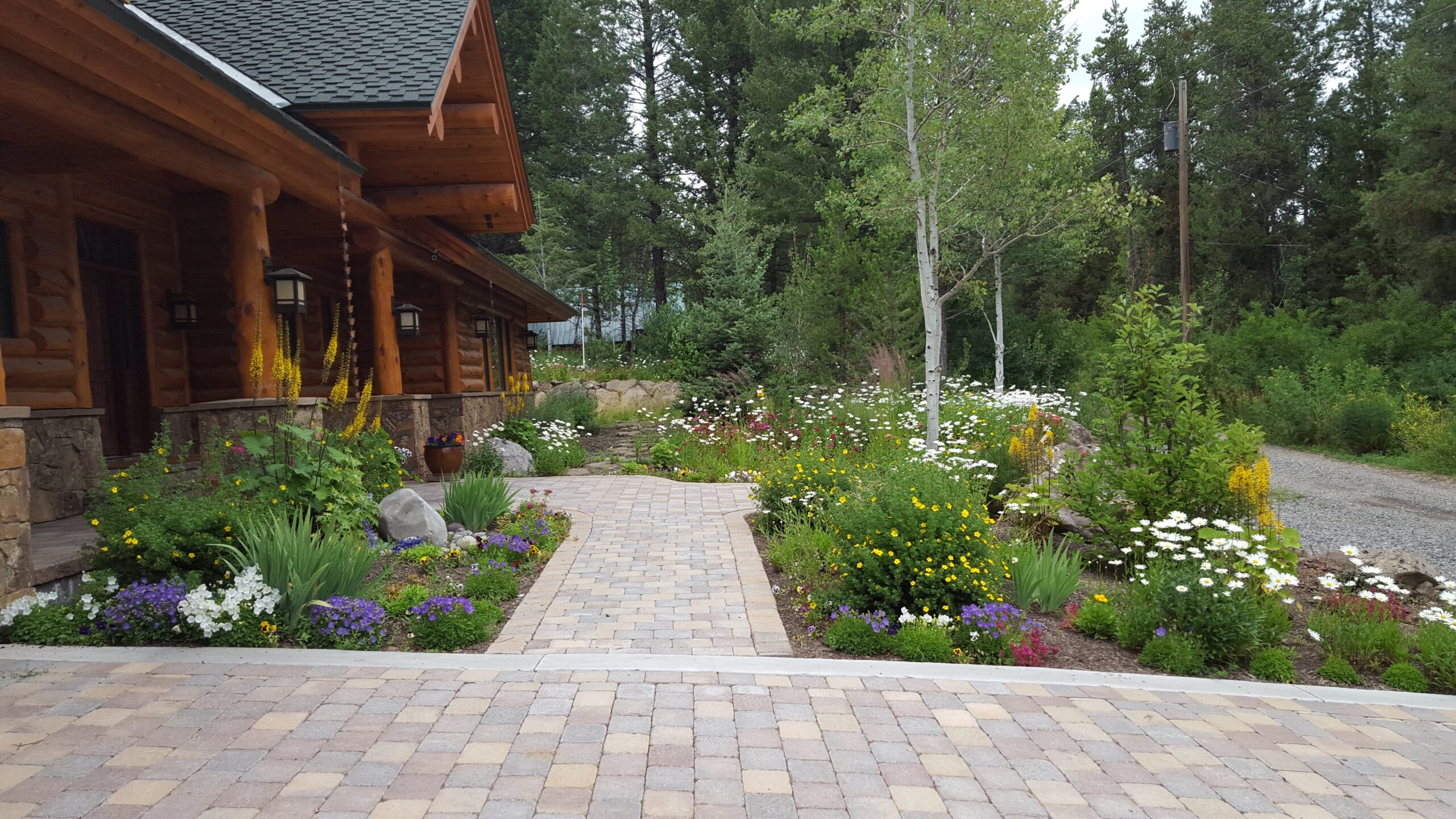Front Yard with Pavers Photo
