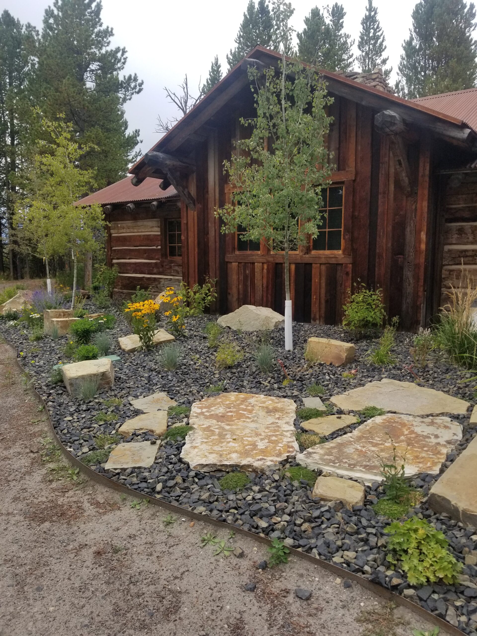 Tree and Hardscaping Photo