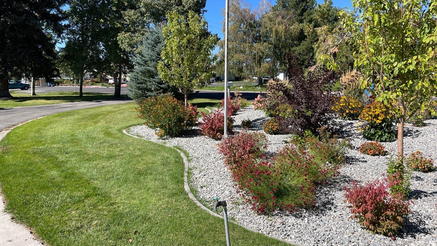 Driveway Landscaping 3 Photo