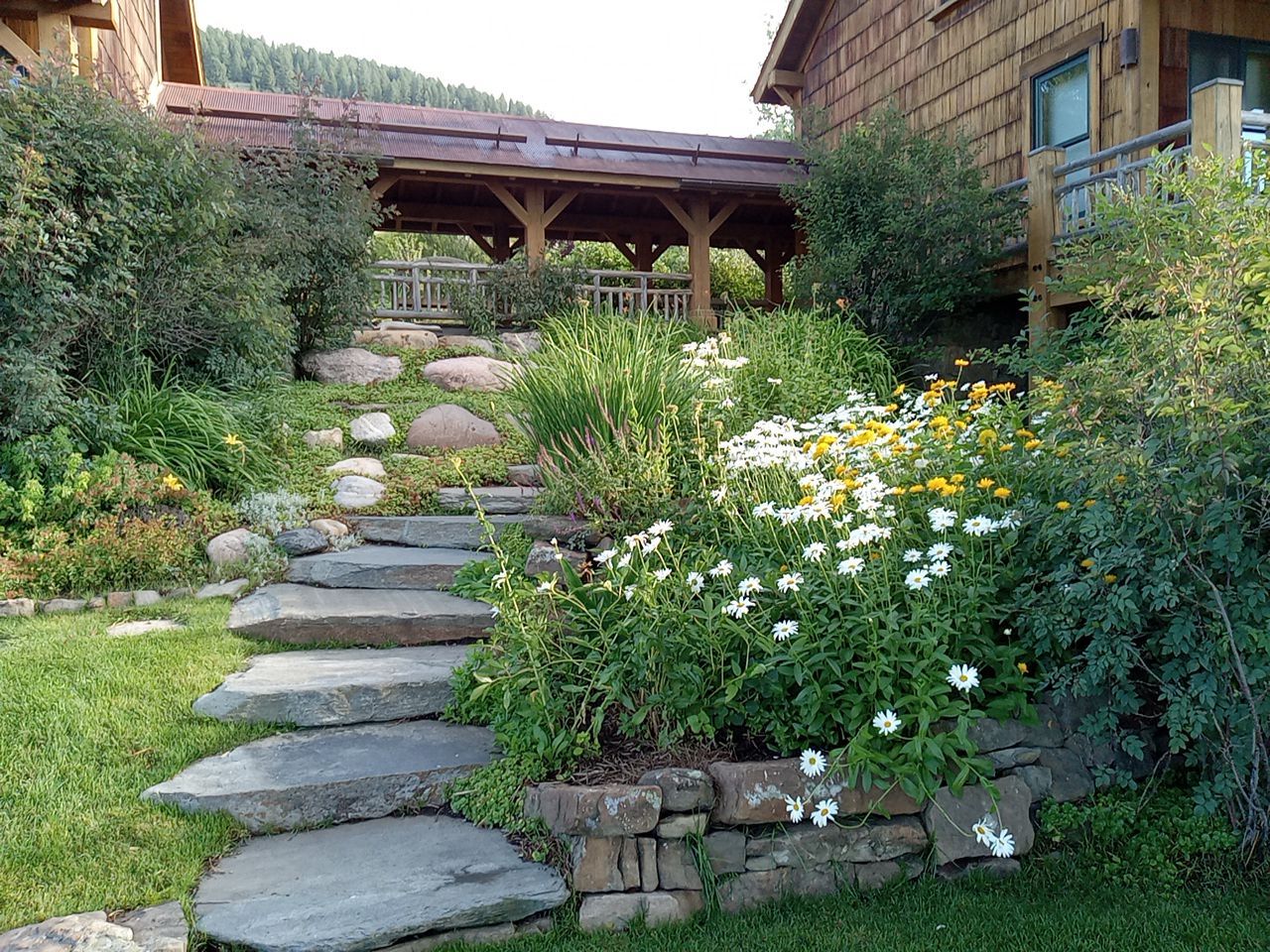 Landscape Steps Photo