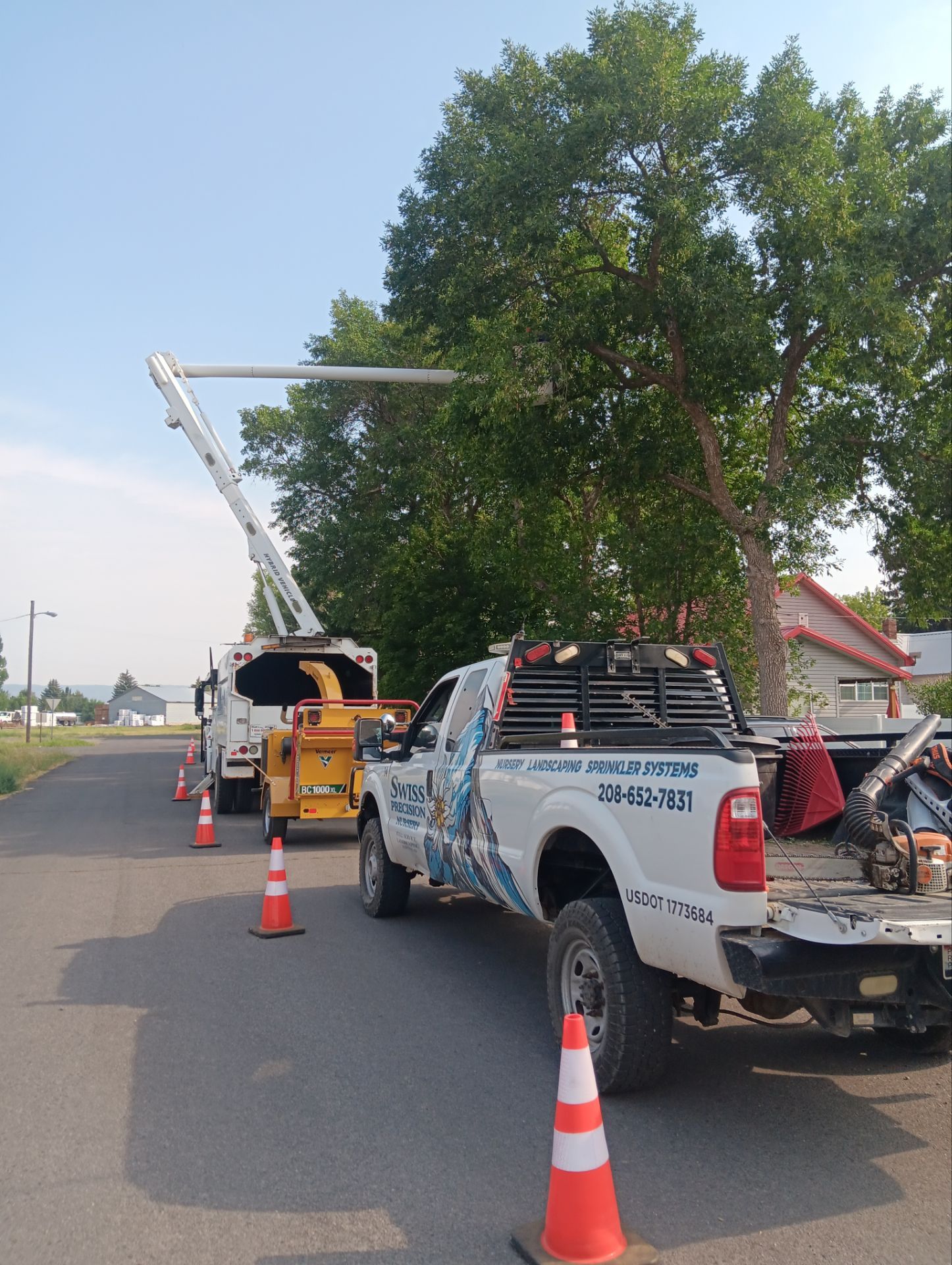 Tree Services Photo